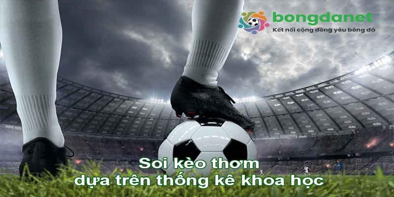 Bongdanet Các tính năng nổi bật của bongdanet không thể bỏ qua