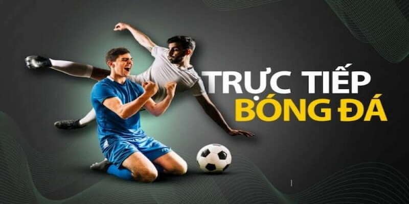 Socolive Cách tận dụng tối đa lợi ích từ Socolive khi chơi casino