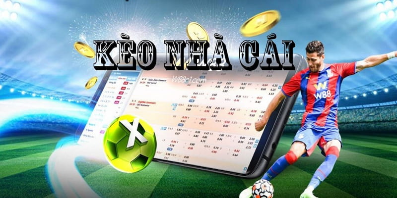 Về chúng tôi Cam kết bảo mật và minh bạch thông tin