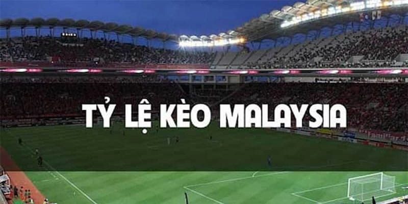 Tỷ lệ kèo Malaysia Khái niệm cơ bản về tỷ lệ kèo Malaysia