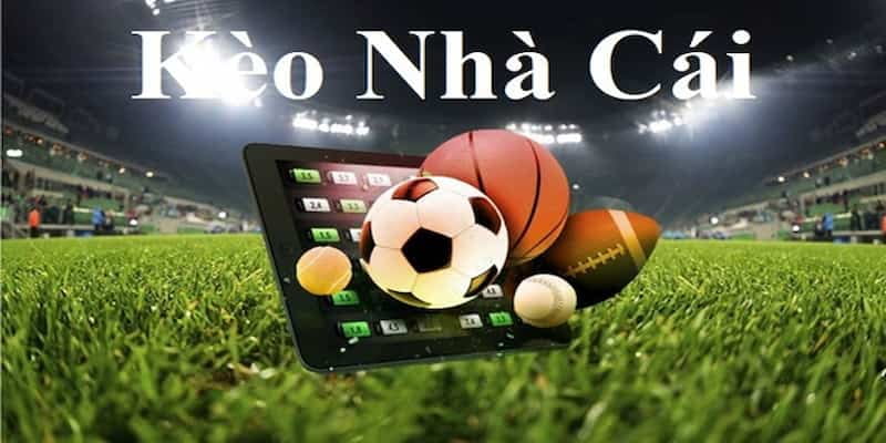 Về chúng tôi Tầm nhìn chiến lược và định hướng phát triển bền vững