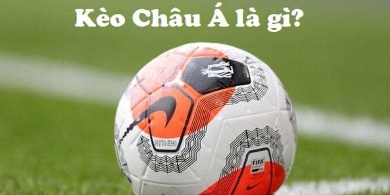 Tỷ lệ kèo châu Á Tìm hiểu về tỷ lệ kèo châu Á