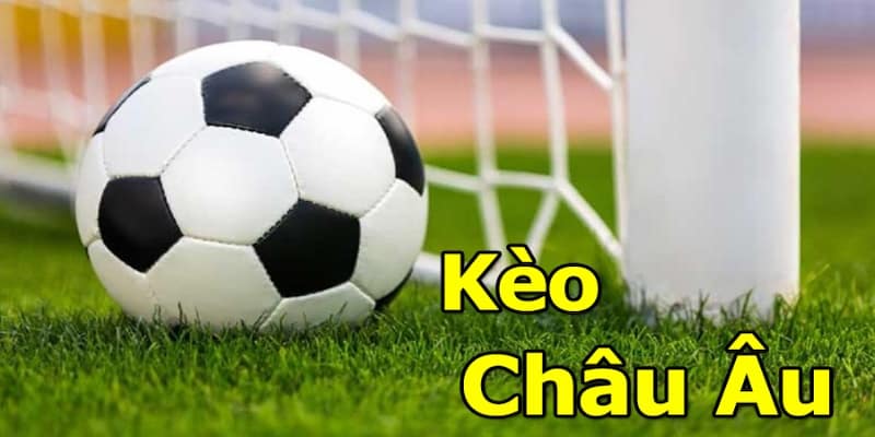 Tỷ lệ kèo châu âu Tổng quan về tỷ lệ kèo châu âu